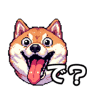 ⚫煽り散らかすうざいだるい柴犬 (ドット絵)（個別スタンプ：5）