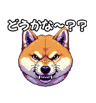 ⚫煽り散らかすうざいだるい柴犬 (ドット絵)（個別スタンプ：6）