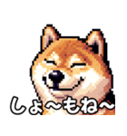 ⚫煽り散らかすうざいだるい柴犬 (ドット絵)（個別スタンプ：8）