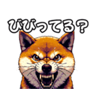 ⚫煽り散らかすうざいだるい柴犬 (ドット絵)（個別スタンプ：12）