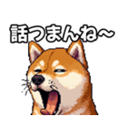 ⚫煽り散らかすうざいだるい柴犬 (ドット絵)（個別スタンプ：17）