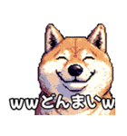 ⚫煽り散らかすうざいだるい柴犬 (ドット絵)（個別スタンプ：19）