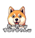 ⚫煽り散らかすうざいだるい柴犬 (ドット絵)（個別スタンプ：22）