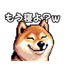 ⚫煽り散らかすうざいだるい柴犬 (ドット絵)（個別スタンプ：25）