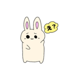 うさぴょん（1）（個別スタンプ：19）