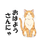 名古屋弁の猫だがにゃ！【キャット・方言】（個別スタンプ：1）