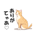 名古屋弁の猫だがにゃ！【キャット・方言】（個別スタンプ：4）