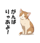 名古屋弁の猫だがにゃ！【キャット・方言】（個別スタンプ：8）