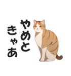 名古屋弁の猫だがにゃ！【キャット・方言】（個別スタンプ：36）