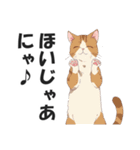 名古屋弁の猫だがにゃ！【キャット・方言】（個別スタンプ：40）