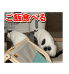 きなこだいふくすたんぷ（個別スタンプ：2）