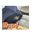 きなこだいふくすたんぷ（個別スタンプ：19）