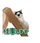 きなこだいふくすたんぷ（個別スタンプ：24）