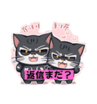 猫ミミちゃんの（個別スタンプ：2）