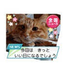たわなつ7（個別スタンプ：1）