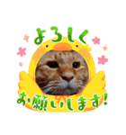 たわなつ7（個別スタンプ：3）