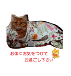 たわなつ7（個別スタンプ：6）