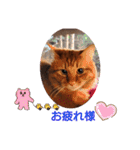 たわなつ7（個別スタンプ：10）