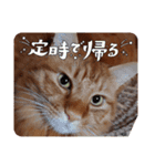 たわなつ7（個別スタンプ：14）