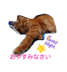 たわなつ7（個別スタンプ：16）