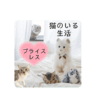 テヌレオポンVol.3猫の日スタンプ（個別スタンプ：6）