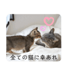 テヌレオポンVol.3猫の日スタンプ（個別スタンプ：7）