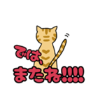 愛らしいねこ（個別スタンプ：8）