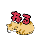 愛らしいねこ（個別スタンプ：10）