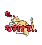 愛らしいねこ（個別スタンプ：13）