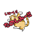 愛らしいねこ（個別スタンプ：16）