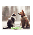 仲良しの猫と犬の会話（個別スタンプ：5）