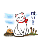 ハルちゃんちのしろねこ4（個別スタンプ：20）