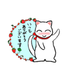 ハルちゃんちのしろねこ4（個別スタンプ：34）