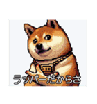 ドット絵 ラッパー柴犬（個別スタンプ：6）