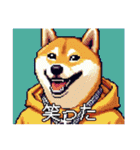 ドット絵 ラッパー柴犬（個別スタンプ：27）