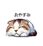 ドット絵 スコティッシュフォールド 白濃茶（個別スタンプ：2）