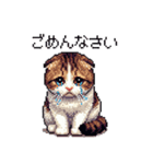 ドット絵 スコティッシュフォールド 白濃茶（個別スタンプ：15）