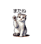 ドット絵 スコティッシュフォールド 白濃茶（個別スタンプ：21）