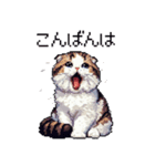 ドット絵 スコティッシュフォールド 白濃茶（個別スタンプ：25）