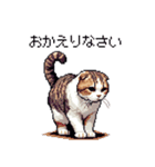 ドット絵 スコティッシュフォールド 白濃茶（個別スタンプ：30）