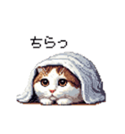 ドット絵 スコティッシュフォールド 白濃茶（個別スタンプ：31）