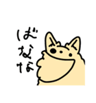 【ぷりんぷんちゃん】チワワの日常（個別スタンプ：16）