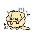 【ぷりんぷんちゃん】チワワの日常（個別スタンプ：24）