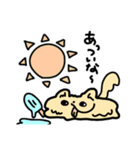 【ぷりんぷんちゃん】チワワの日常（個別スタンプ：27）