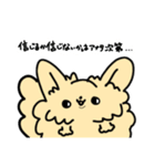 【ぷりんぷんちゃん】チワワの日常（個別スタンプ：40）