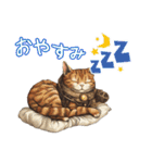 日常でいつでも使える猫のスタンプ（個別スタンプ：5）