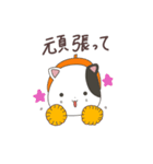 ねこのポロちゃん（個別スタンプ：14）