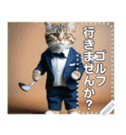 【猫ゴルフ】ネコのゴルファー（個別スタンプ：1）