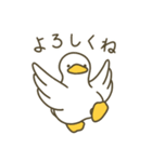 絶対にとびたくないアヒル〈ポーカー〉（個別スタンプ：5）