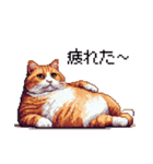 ドット絵 太っちょキジトラ 食べ過ぎ 猫（個別スタンプ：4）